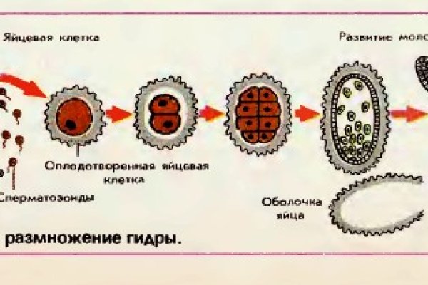 Кракен с айфона
