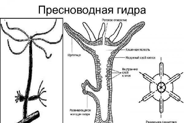 Кракен даркнет поддержка