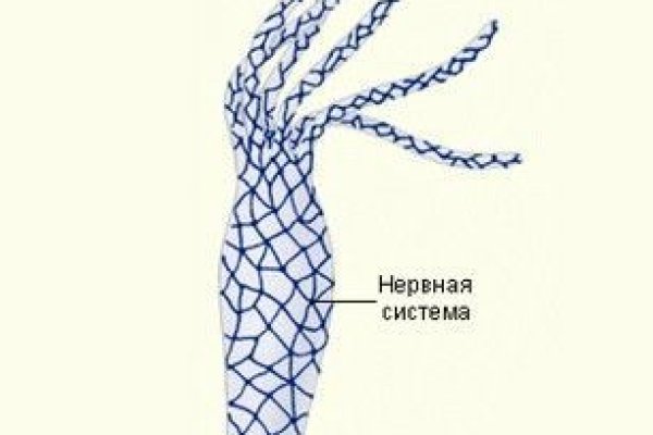 Кракен даркнет маркет ссылка на сайт тор